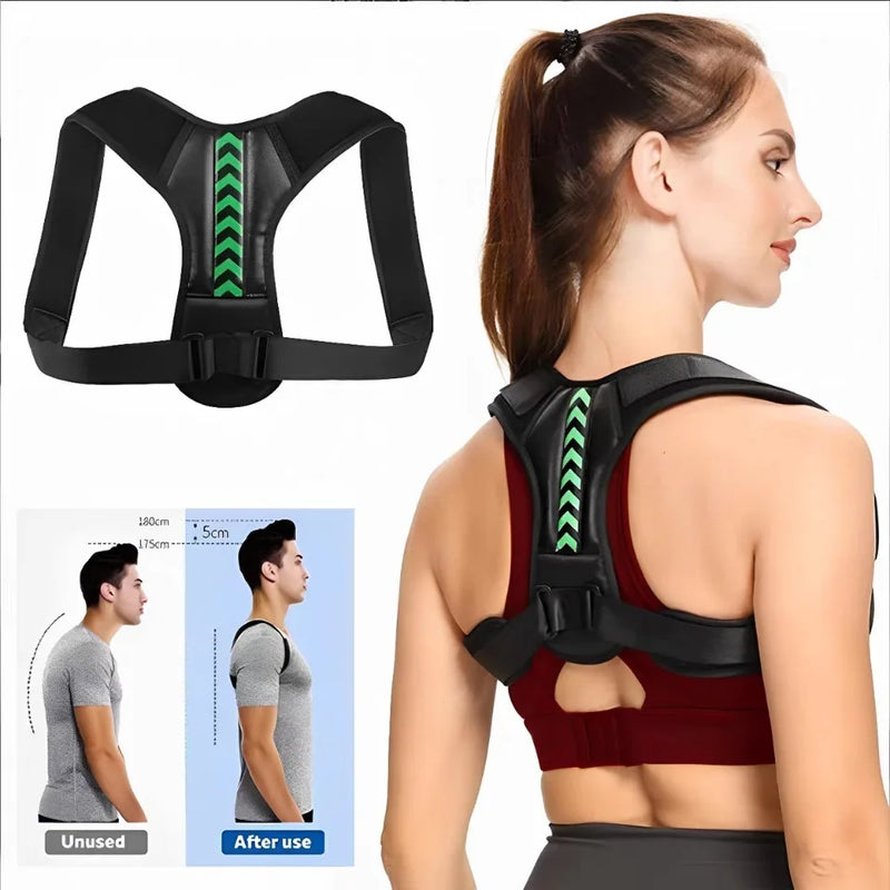 SpineFit 5